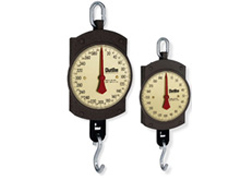 BD Series Hanging Scales